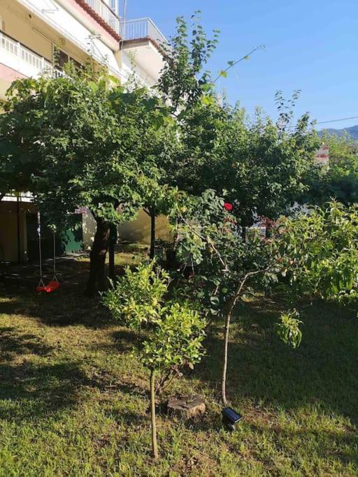 Evangelias House! Apartman Sztavrósz Kültér fotó